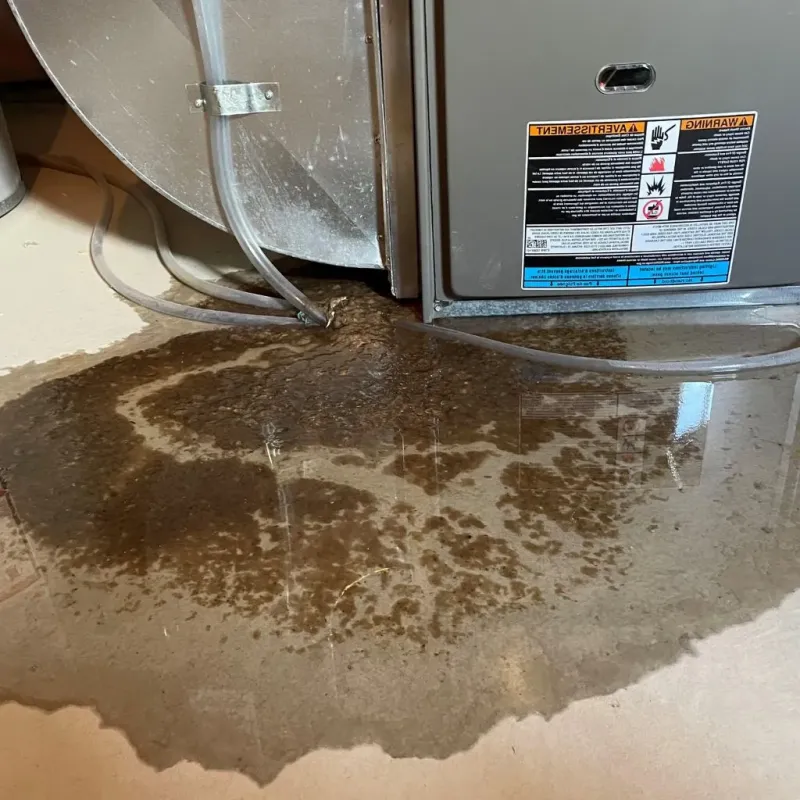 Pipe Burst and Leak Restoration in Alleghany County, VA