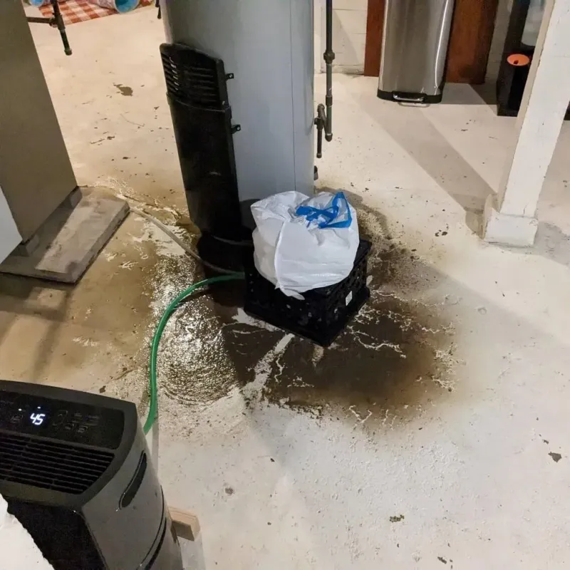 Sewage Backup Cleanup Service in Alleghany County, VA